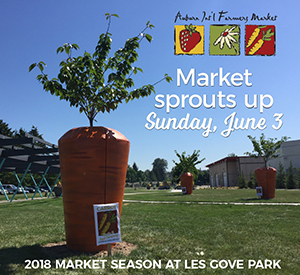 18-aifm-veggie-ads-giantcarrots_300w