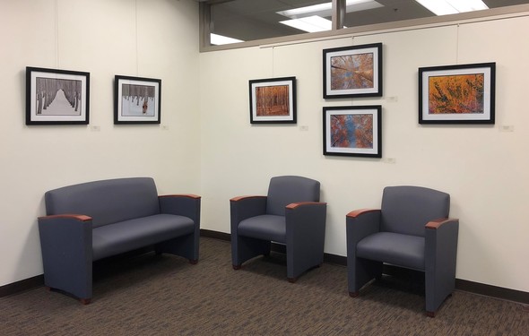 City of Auburn Art Galleries