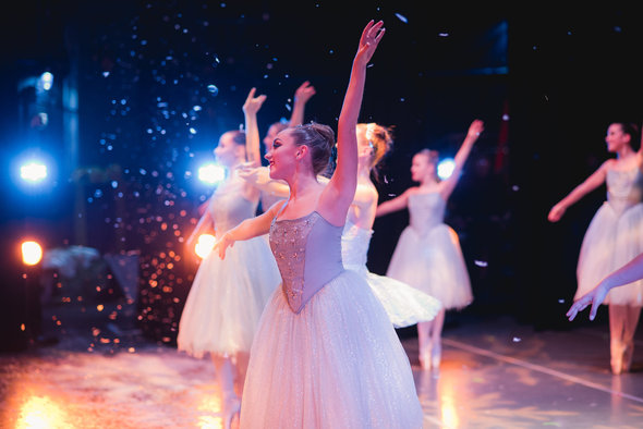 Project Support Grant