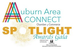 Auburn Chamber awards