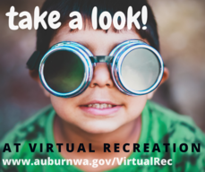virtual recreation_look