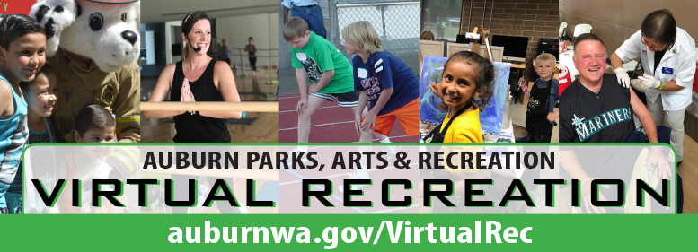 Virtual Recreation_2020