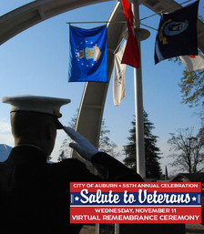 Remembrance Ceremony Salute