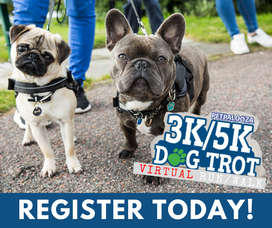 Dog Trot 3K/5K virtual Fun Run