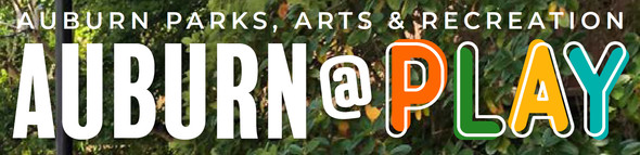 Parks Year in Review 2020