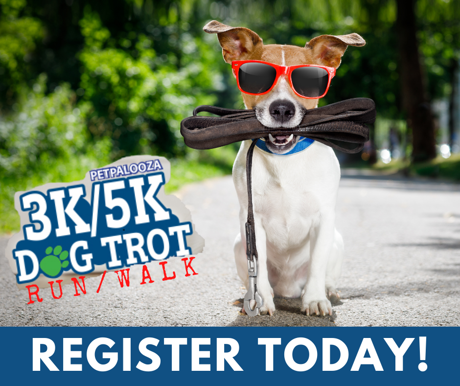 Dog Trot registration