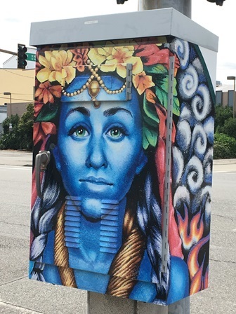 Abbot_Utility Box Wrap