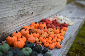 clay pumpkins