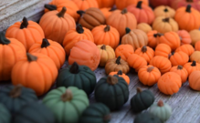 clay pumpkins