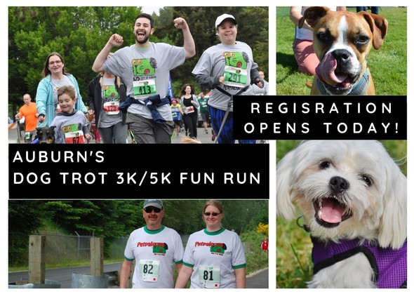 Dog Trot registrations available