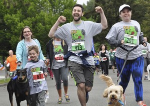 Dog Trot favorite pic