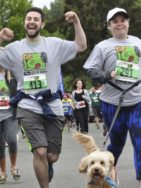 Dog Trot favorite pic