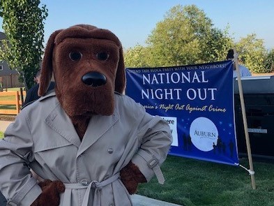 NNO 2022