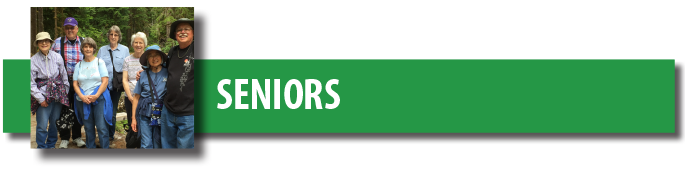 Senior Eblast Heading