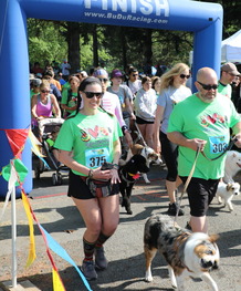 Dog Trot_2023