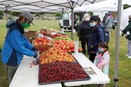 Auburn Farmers Market