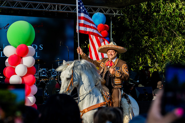A horse at Mexican Independence Day in Auburn