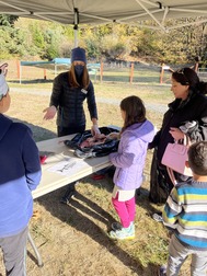 Adults/Kids disecting Salmon