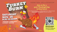 Turkey Burn Poster