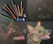 Prismacolor Mulch Morwell