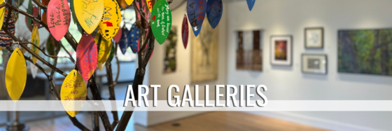 Art Galleries Header