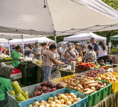 farmers market 2024