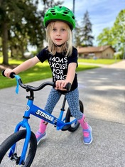 Preschool Bike