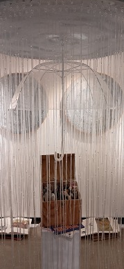 Raindrops by Josh Sands