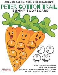 Peter Cotton Trail 2025 Score Cards