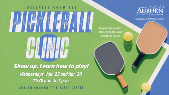 Pickleball Clinic