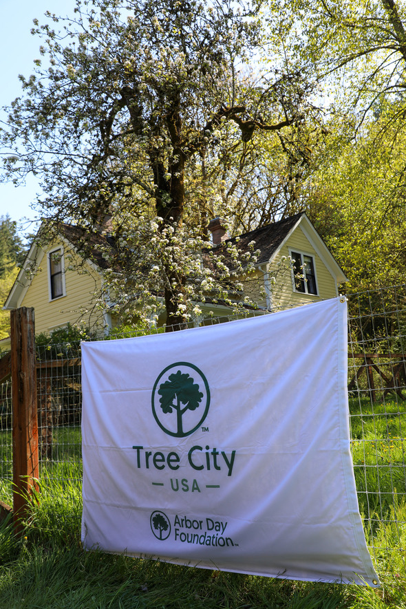 A flag that says Tree City USA 