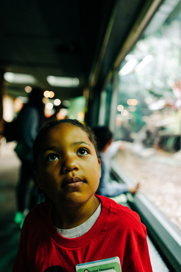 Young child wearing a red shirt looks up thoughtfully while visiting an indoor exhibit at a zoo or aquarium.