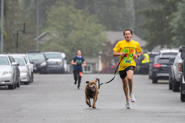 A man and a dog running in the rain