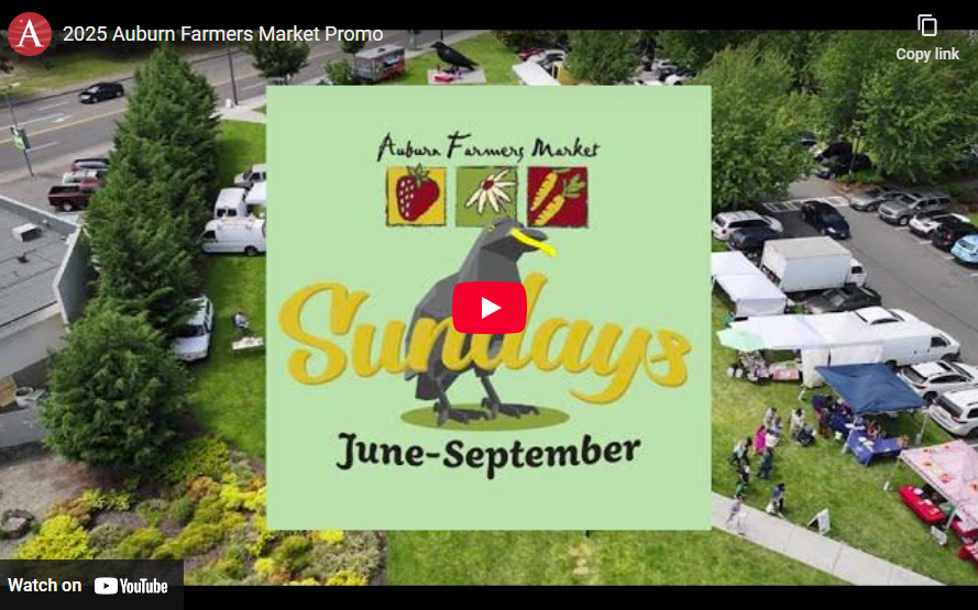 Screenshot of a video