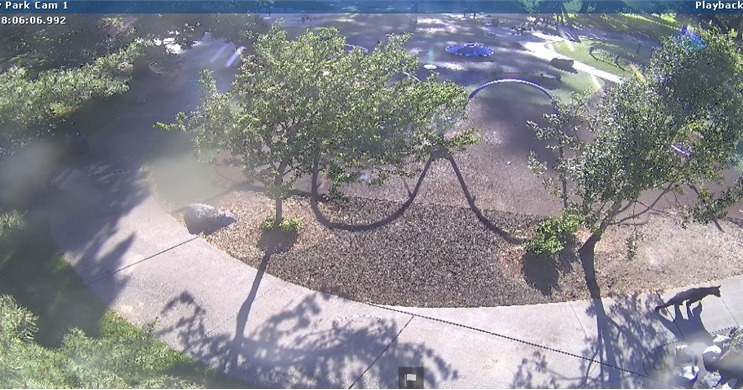 Screenshot of video showing a small bear at a park