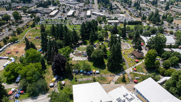 Aerial view of a vibrant outdoor festival at a park, with vendor tents, playgrounds, and crowds spread beneath tall evergreen trees.