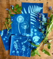 Cyanotype Sun Printing