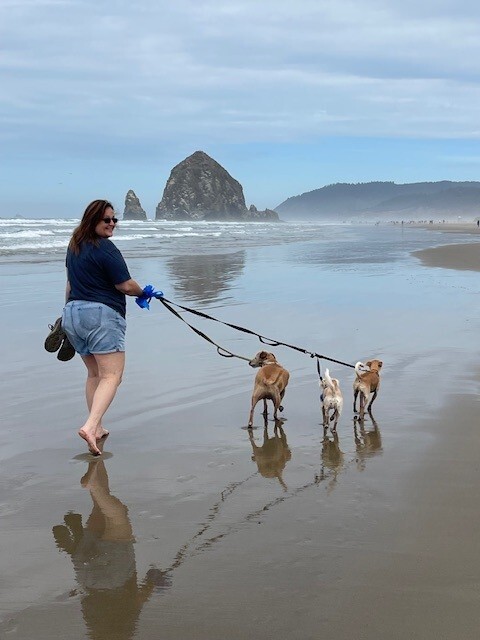 Woman walking three dogs along a reflective beach with Haystack Rock in the background on a cloudy day.