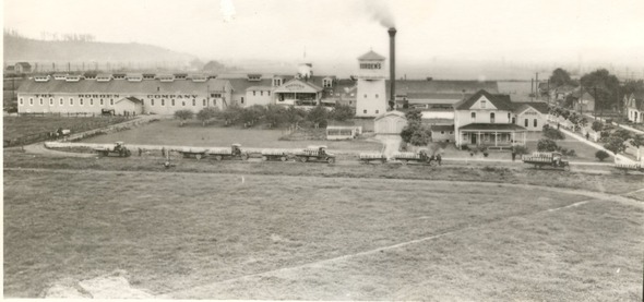 Historic photo of Borden Company plant with delivery trucks lined up outside, early 20th century.
