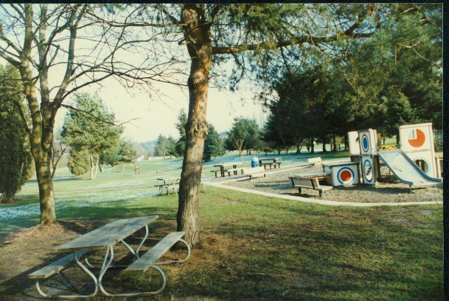 Playground with slide, picnic tables, and trees in a grassy park on a clear day.