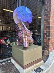 Rise and Fall-installed