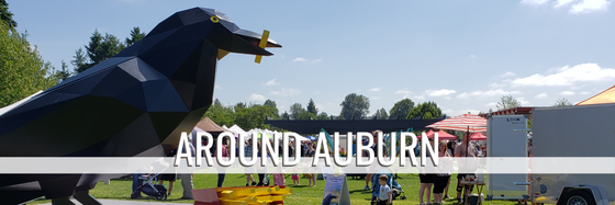 Around Auburn Header