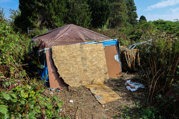 Makeshift shelter with a tarp roof and plywood entrance, surrounded by overgrown bushes and scattered debris.