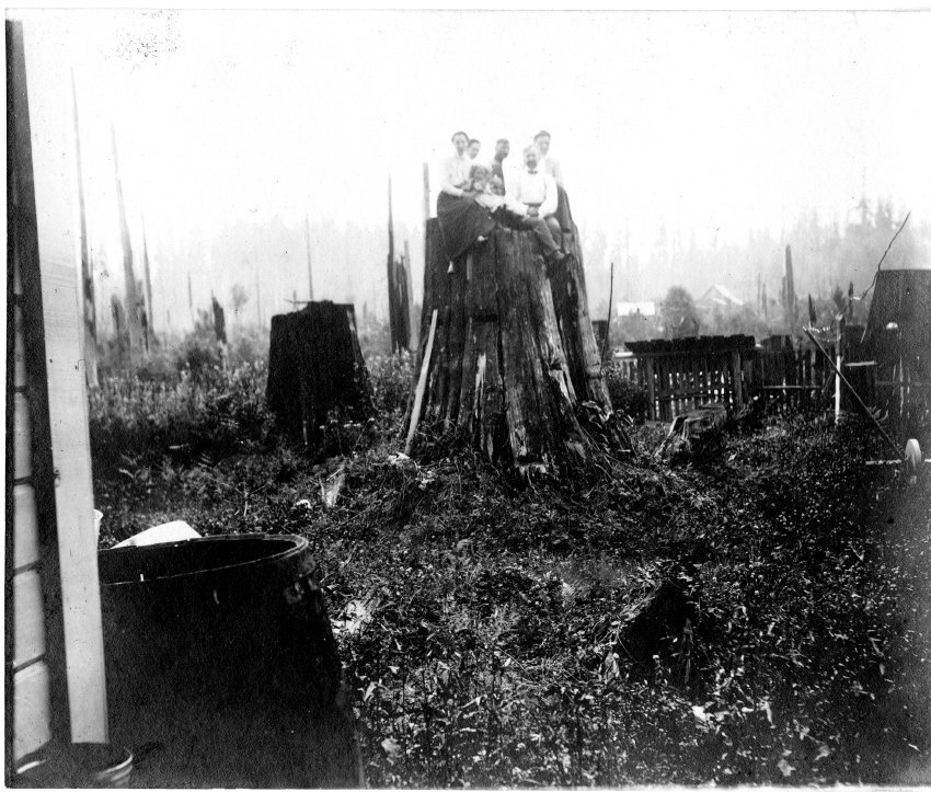Historic photo of people sitting on a massive tree stump in a cleared field with early homesteads in the distance.
