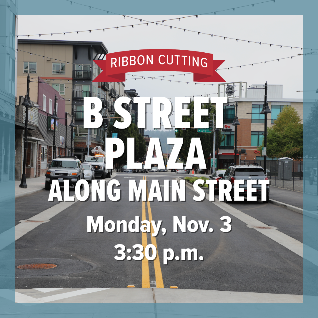 Downtown Auburn’s newly improved Main Street with string lights above and cars parked along the curb.