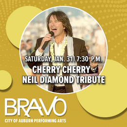 Cherry Cherry BRAVO performance