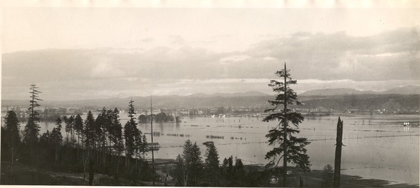 Historic black-and-white photo of flooded farmland and trees in the Auburn valley.