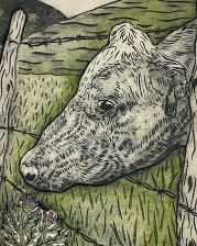 Collagraph Artwork by William Cook