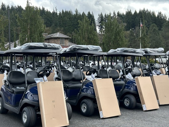 several rows of brand new golf carts 