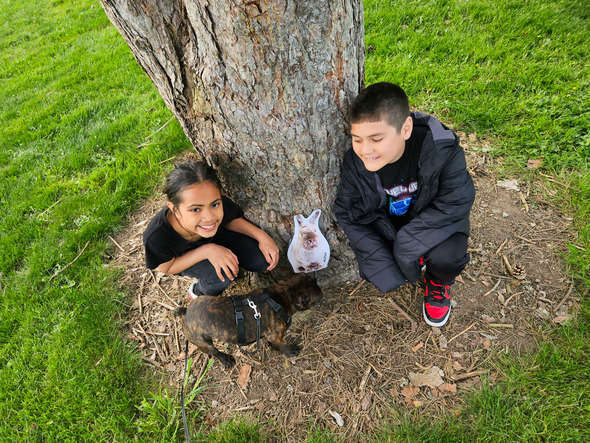 Two kids crouch by a tree with a small dog, looking at a bunny cutout on the trunk